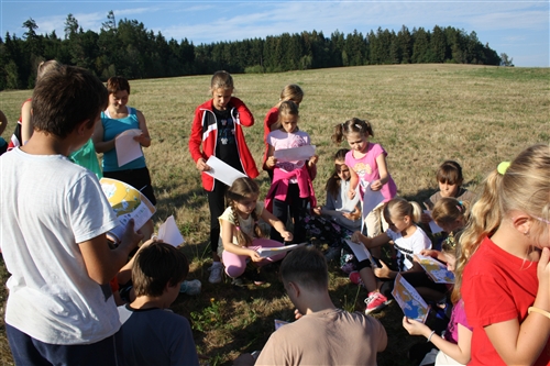 Obrázek v galerii